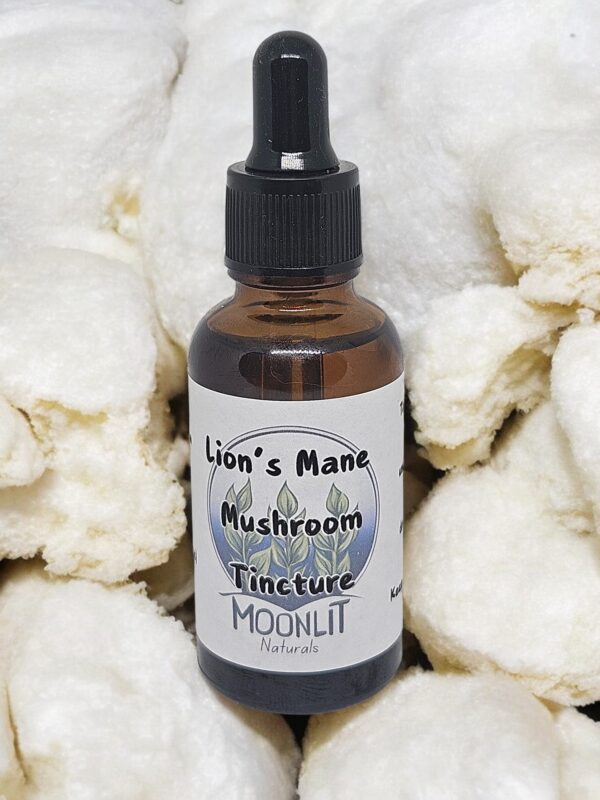 Lion’s Mane Mushroom Tincture