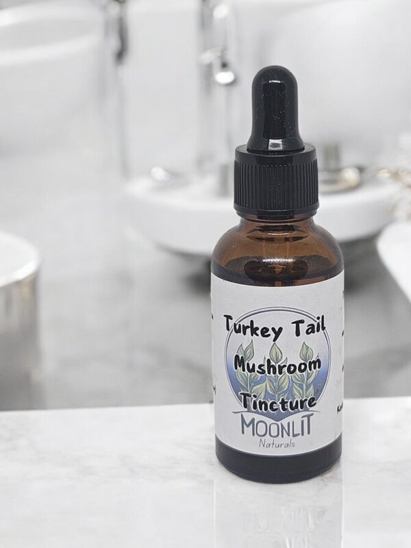 turkey tail tincture