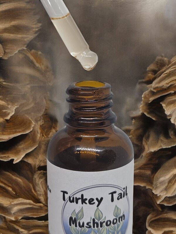 turkey tail tincture