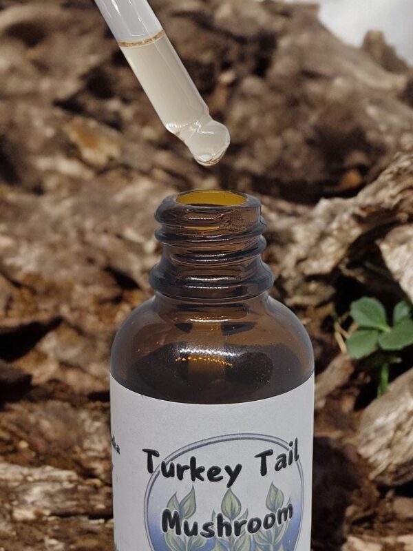turkey tail tincture