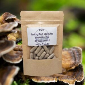 Turkey Tail 500mg