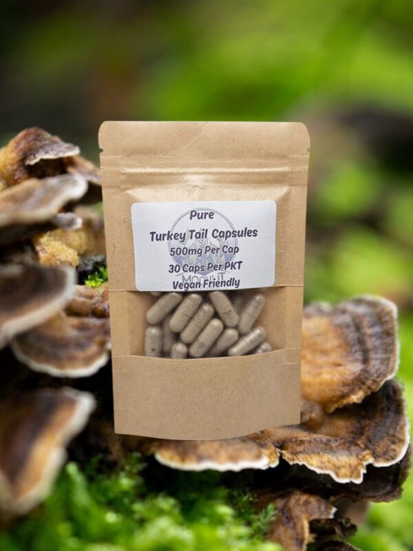 Turkey Tail 500mg