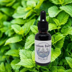 Lemon Balm Tincture