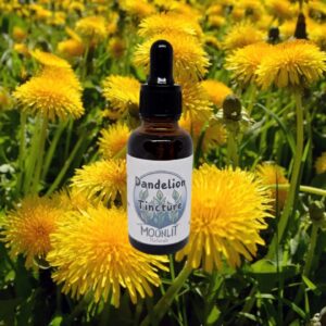Dandelion Tincture