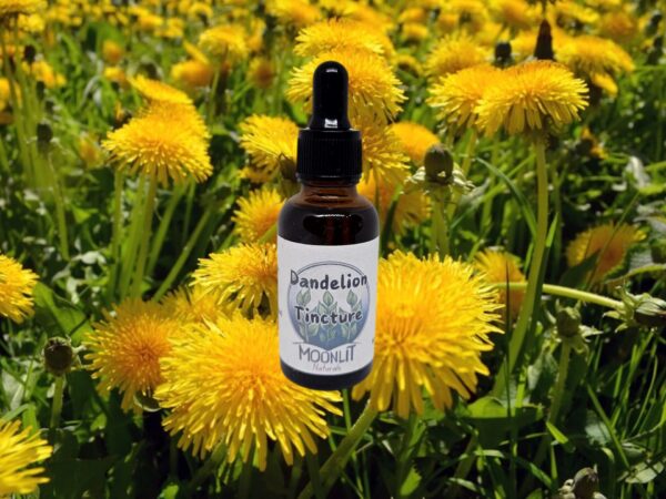 Dandelion Tincture