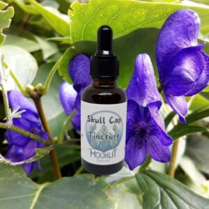 Skullcap Tincture