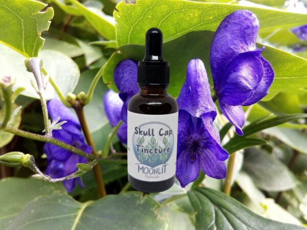 Skullcap Tincture