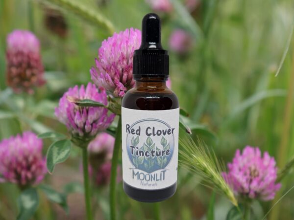 Red Clover Tincture