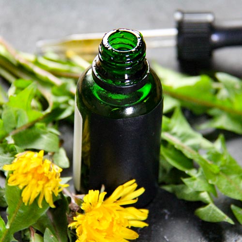 Dandelion Tincture
