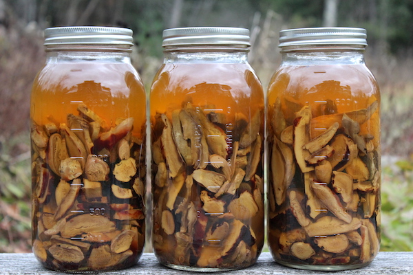 Herbal Tinctures