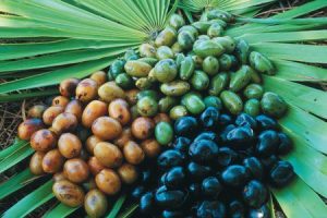 Herbal Supplements