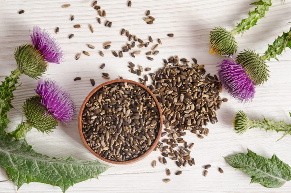 Herbal Supplements
