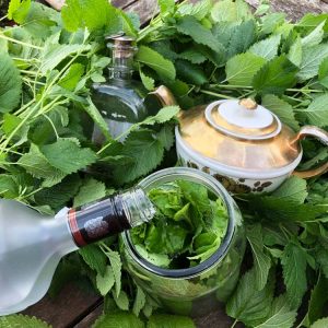 Lemon Balm Tincture