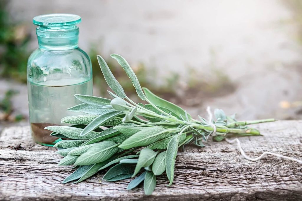 sage tincture