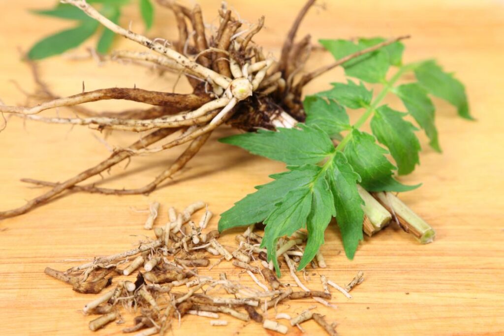 Herbal Supplements