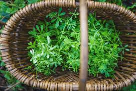 cleavers