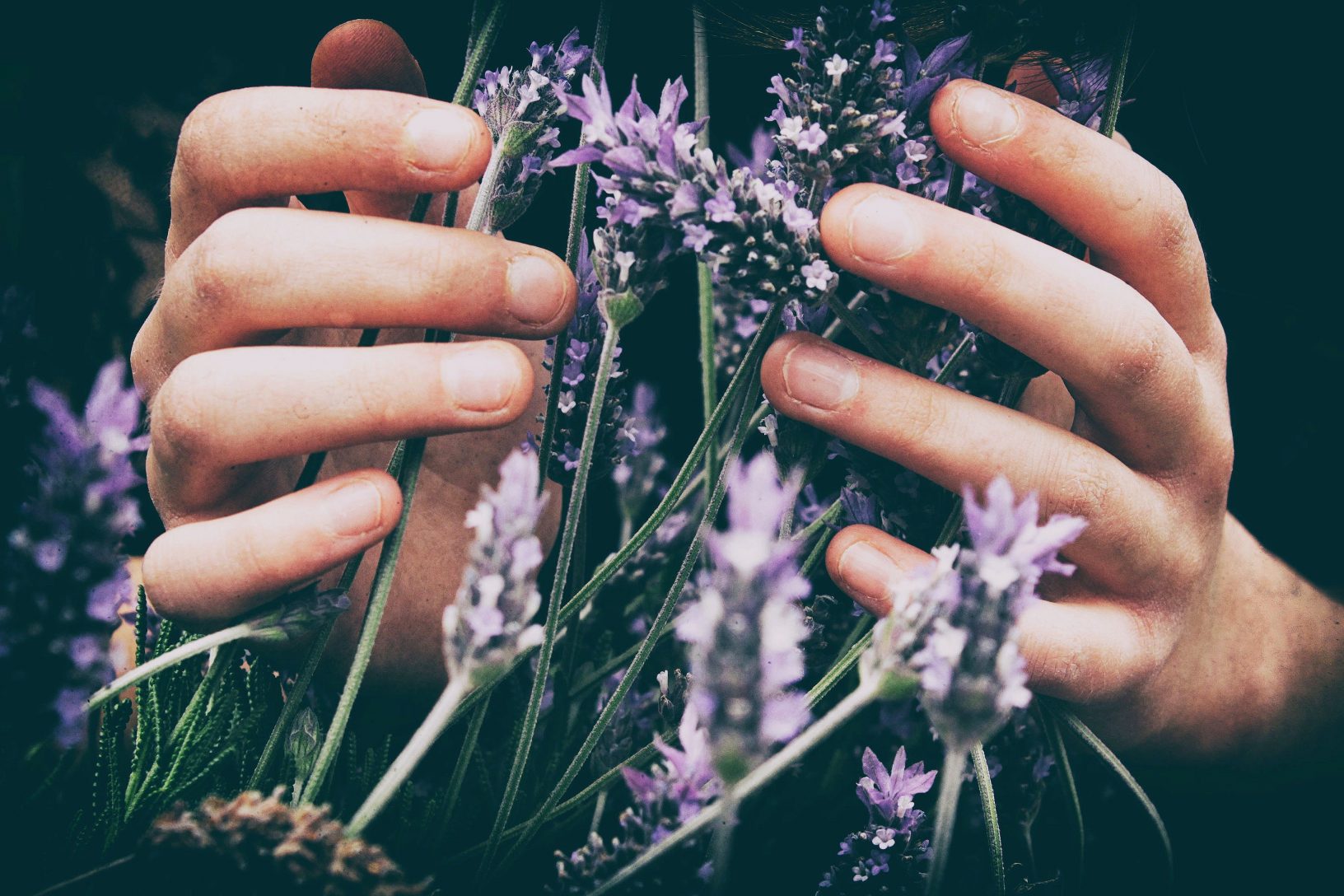 Natural Remedies for Anxiety