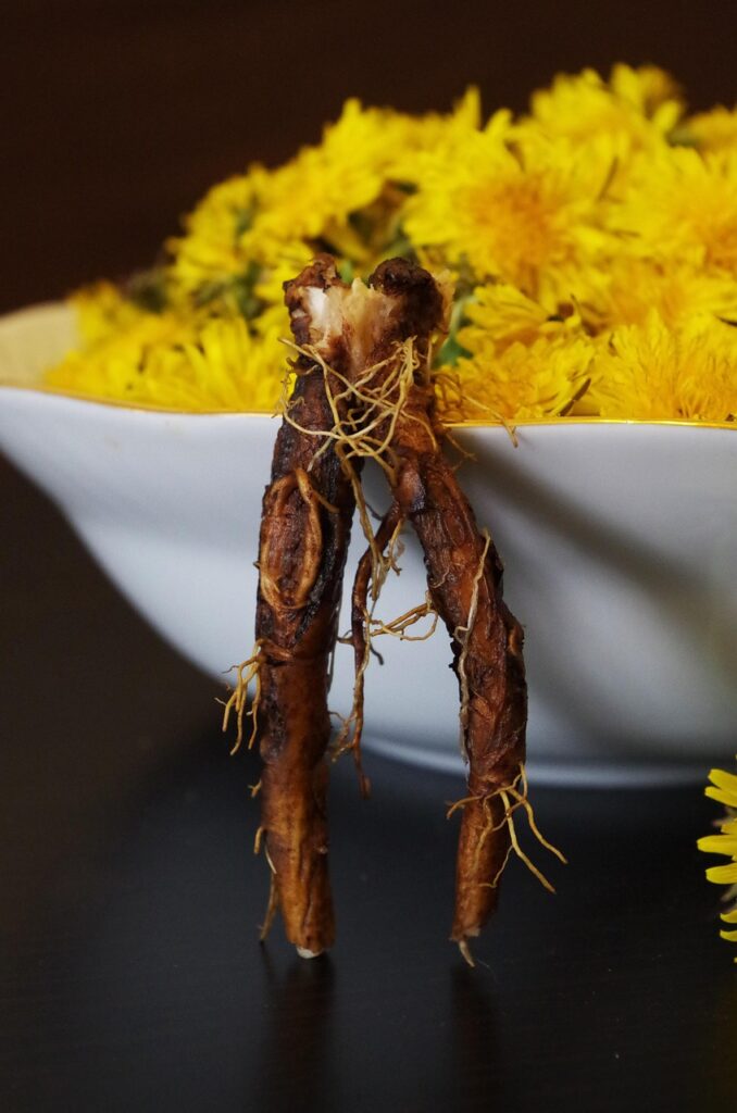 dandelion, nature, health, salad, flowers, flower background, beautiful flowers, recipe, flower wallpaper, root