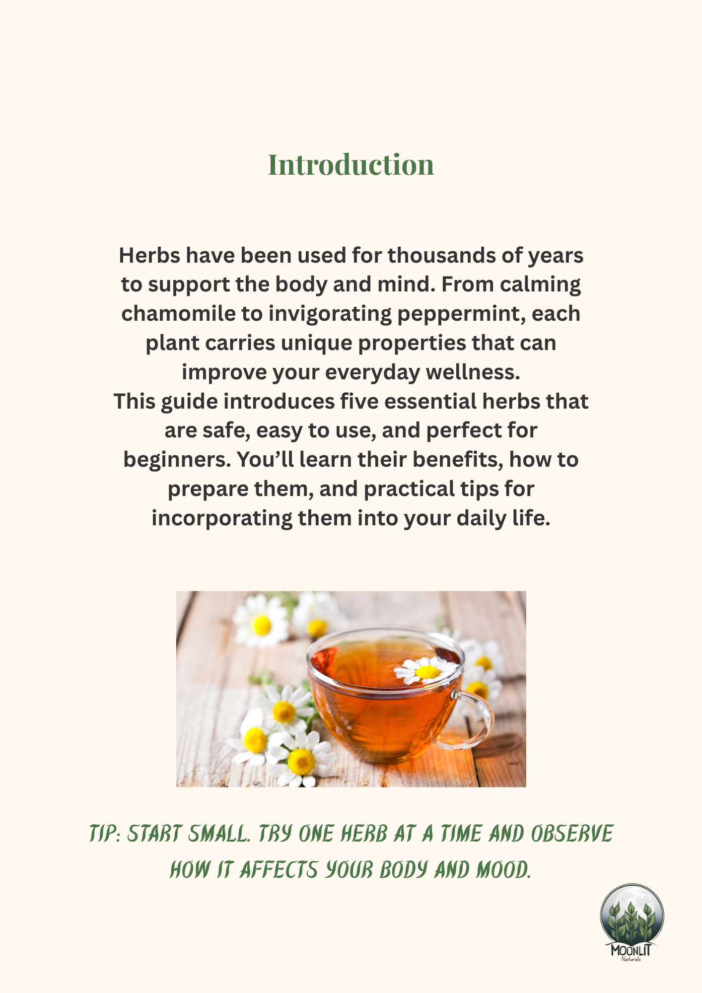 Beginner Herbal Guide