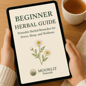 Beginner Herbal Guide